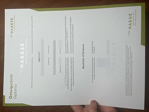 De Haagse Hogeschool Getuigschrift replacement