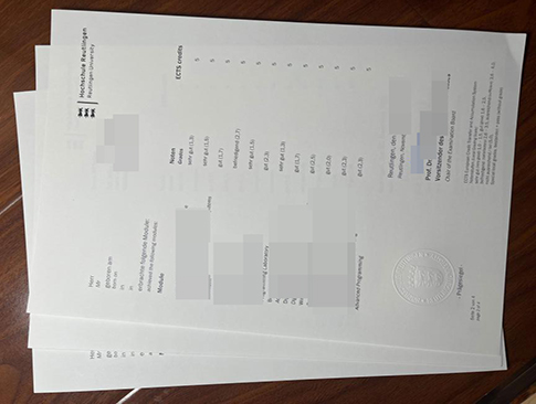 Hochschule Reutlingen Zeugnis replacement