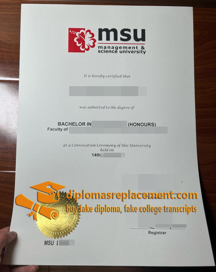 Management and Science University diploma