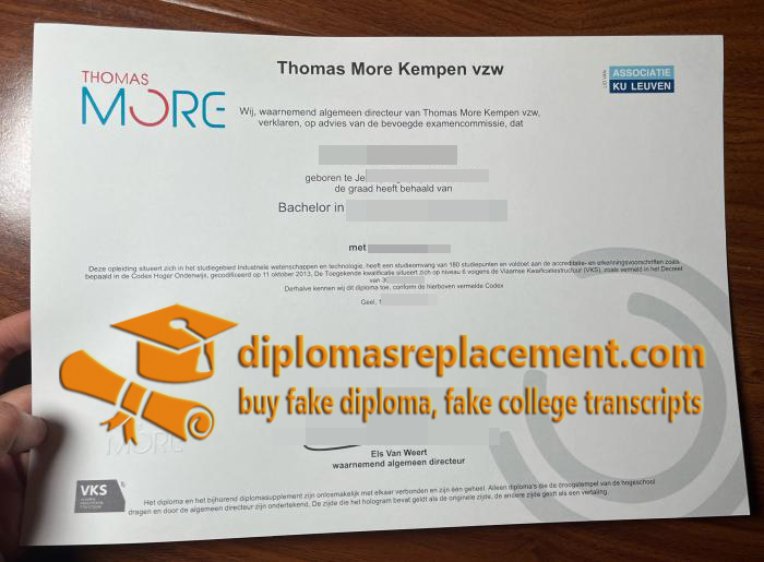 Thomas More Kempen vzw degree