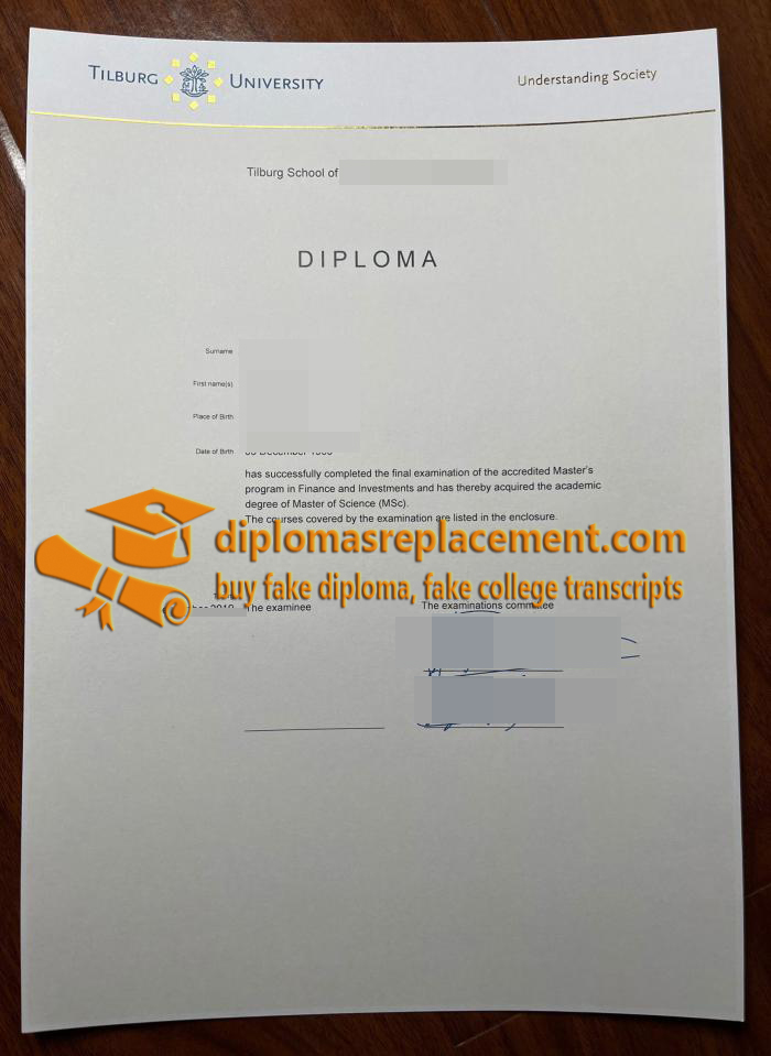 Tilburg University diploma