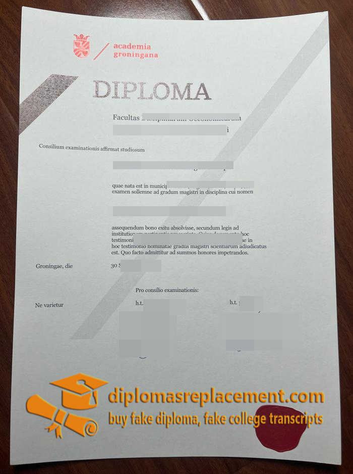 University of Groningen degree