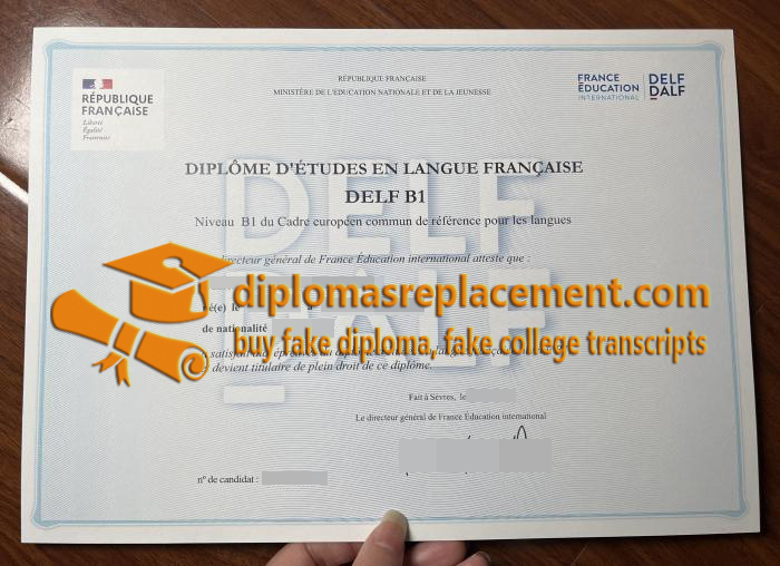 DELF B1 Certificate