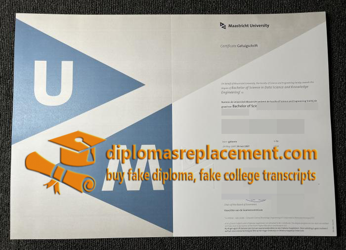 Maastricht University diploma