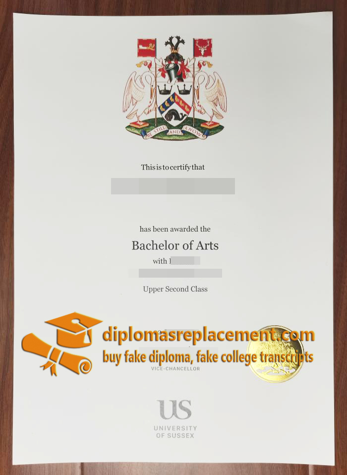 University of Sussex degree