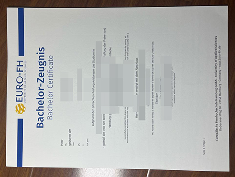 Europäische Fernhochschule Hamburg Zeugnis replacement
