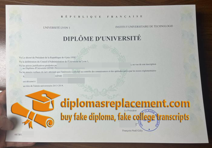 Université Lyon I diploma