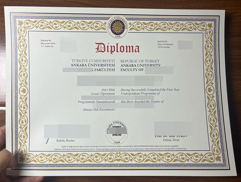 Ankara University diploma replacement'