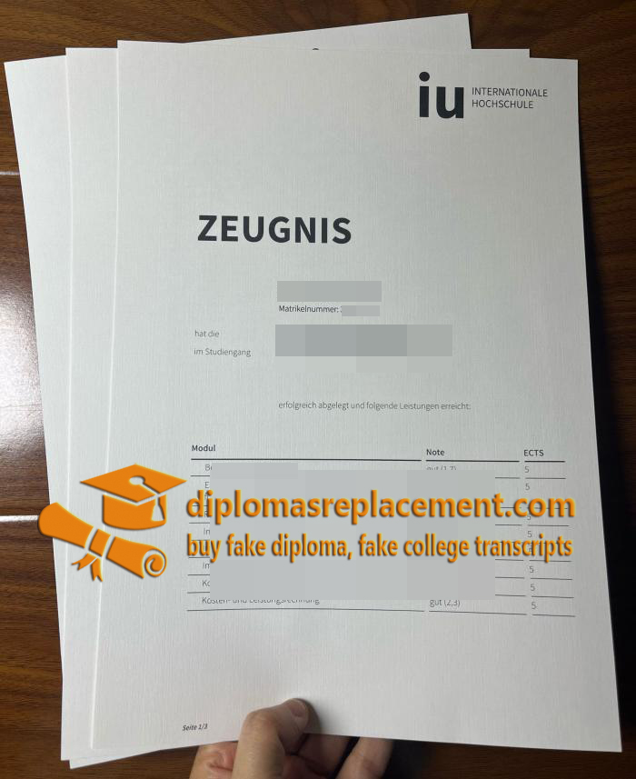 IU Internationale Hochschule transcript