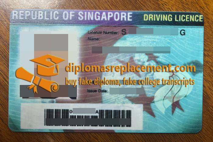 Singapore driver license