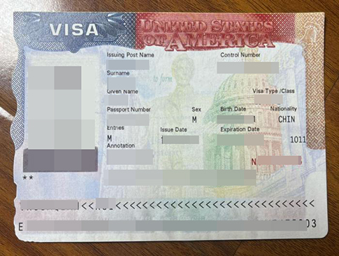 USA VISA replacement