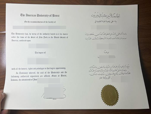 AUB diploma replacement