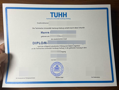 TUHH diploma-1