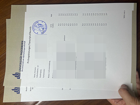 Universität Paderborn transcript replacement