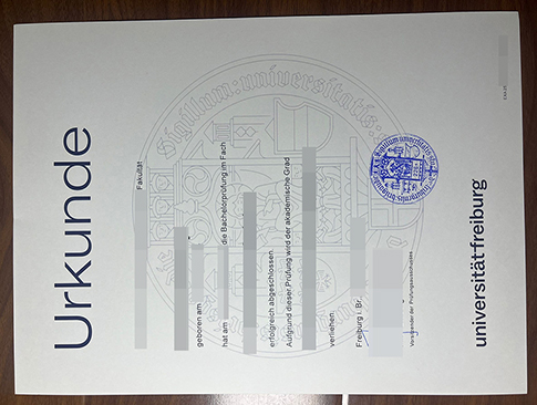 Universität Freiburg diploma replacement