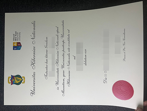 Maynooth University degree-1