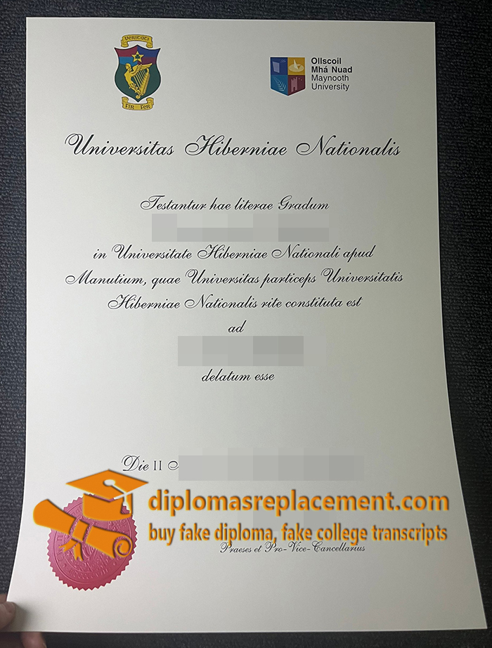Maynooth University degree