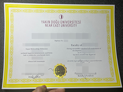 Near East University diploma-1