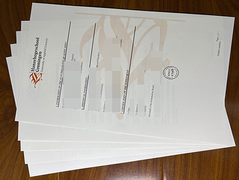 Hanzehogeschool Groningen transcript-1