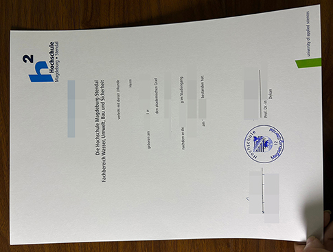 Hochschule Magdeburg-Stendal Urkunde-1