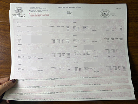 University of Calgary academic transcript-1