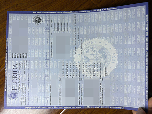 University of Florida transcript-1
