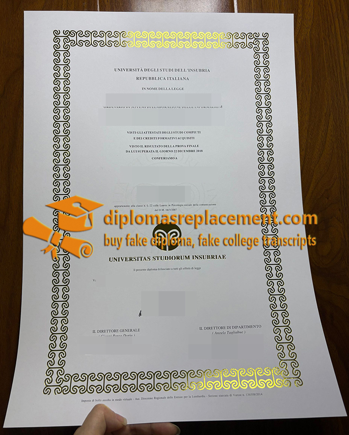 University of Insubria degree