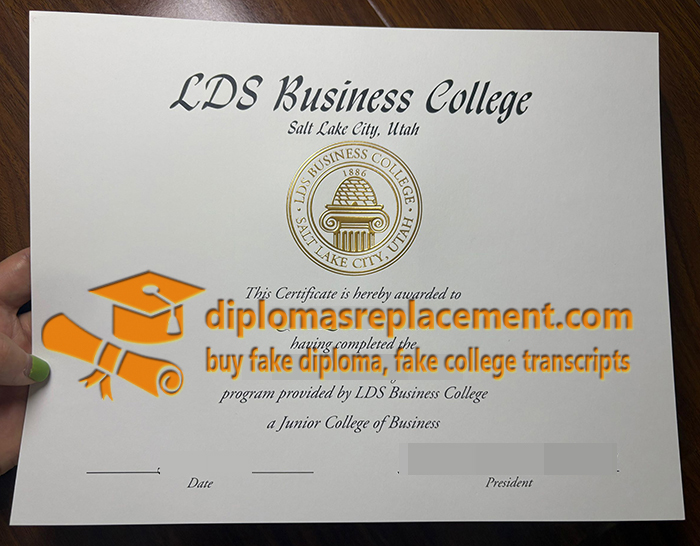 LDSBC degree