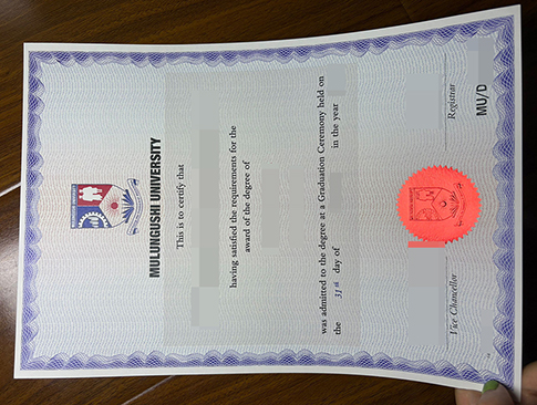 Mulungushi University degree-1