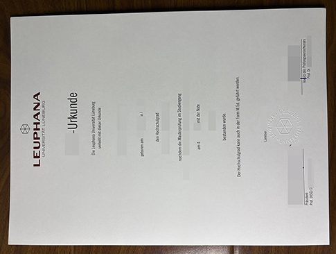 Leuphana Universität Lüneburg Urkunde-1