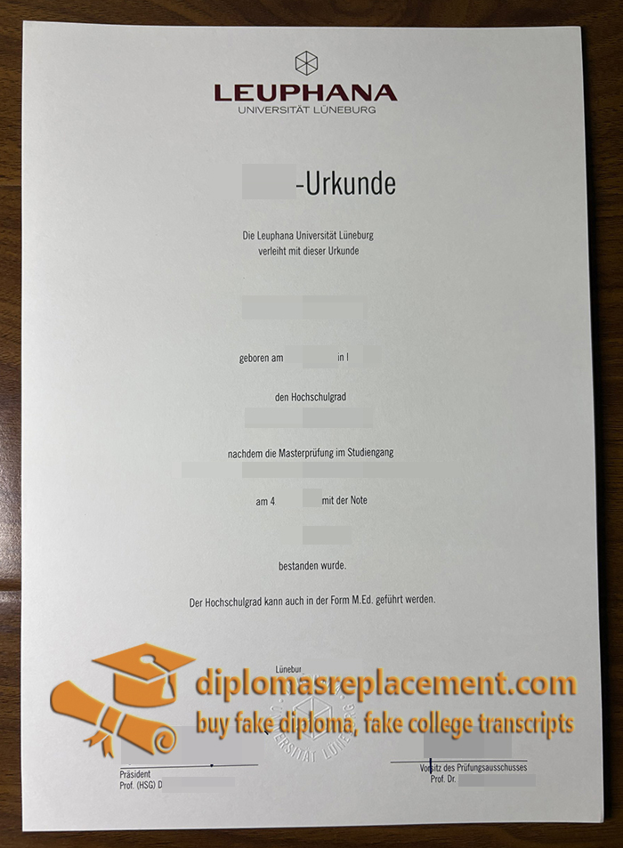 Leuphana Universität Lüneburg Urkunde