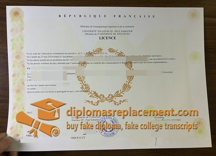 Université de Toulouse III diploma