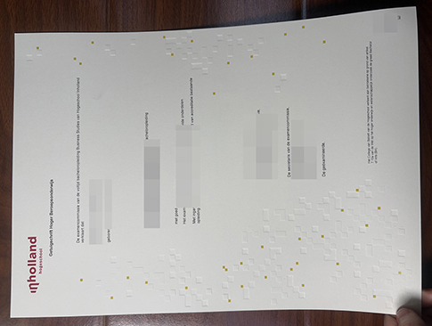 Hogeschool Inholland degree replacement