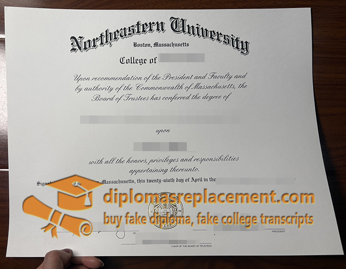 Northeastern University degree