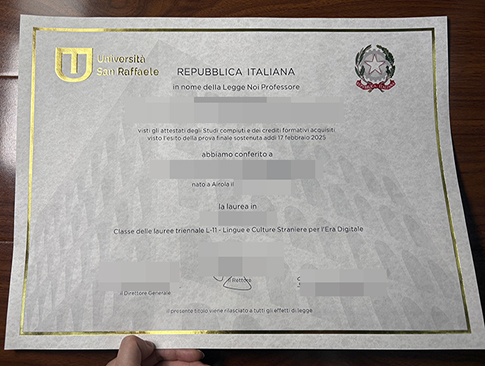 Università San Raffaele diploma replacement