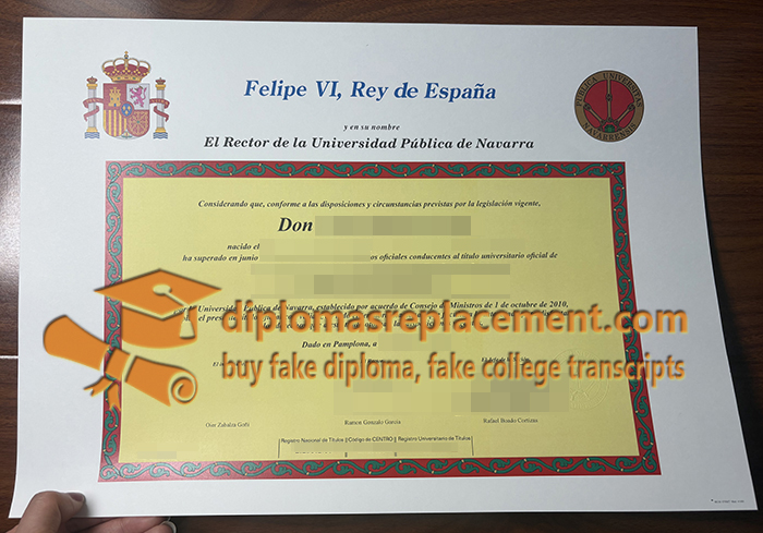 Universidad Pública de Navarra diploma