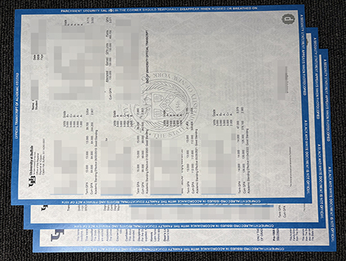 University at Buffalo, SUNY transcript-1